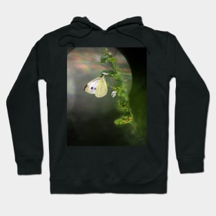 By the Light of the Moon Hoodie